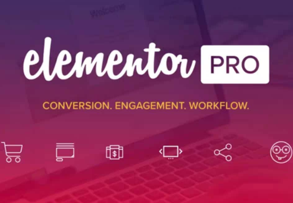 Elementor Pro可视编辑器2.5.14WordPress插件-伊丞小站（YLIMHS.COM）