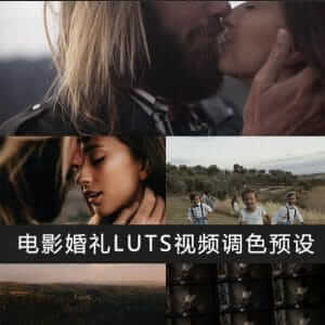 电影婚礼LUTS视频调色预设30个(AE/Pr/FCPX/达芬奇/PS等)-伊丞小站（YLIMHS.COM）