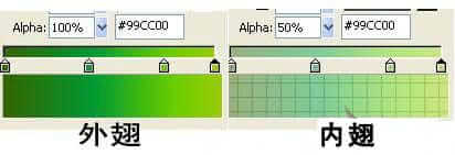 图片[11]-逼真螳螂效果绘制流程解析-伊丞小站（YLIMHS.COM）