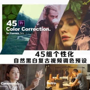 45组个性化 自然黑白复古视频调色预设-伊丞小站（YLIMHS.COM）