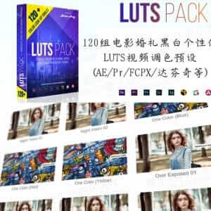 120组大气电影婚礼黑白Instagram个性化LUTS视频调色预设-伊丞小站（YLIMHS.COM）