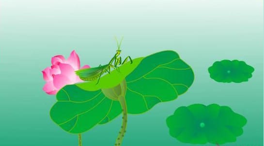 图片[15]-逼真螳螂效果绘制流程解析-伊丞小站（YLIMHS.COM）