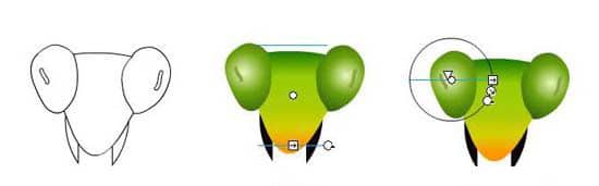 图片[2]-逼真螳螂效果绘制流程解析-伊丞小站（YLIMHS.COM）