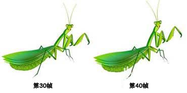 图片[16]-逼真螳螂效果绘制流程解析-伊丞小站（YLIMHS.COM）