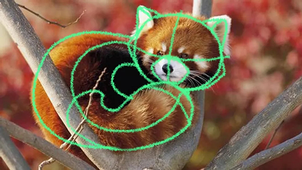 【PS彩铅效果教程】简单几步教你绘制Q版彩铅小熊猫