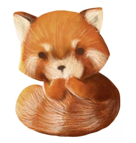 【PS彩铅效果教程】简单几步教你绘制Q版彩铅小熊猫