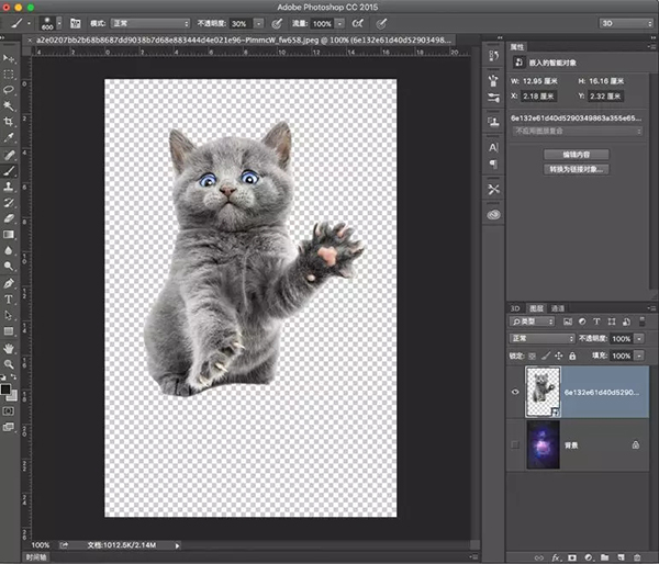 【PS入门教程】好莱坞大片级场景制作—宇宙猫