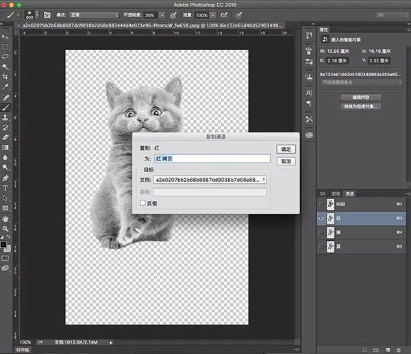 【PS入门教程】好莱坞大片级场景制作—宇宙猫
