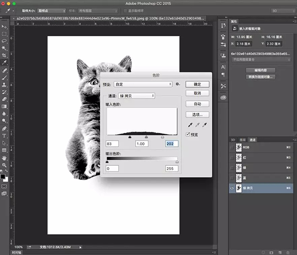 【PS入门教程】好莱坞大片级场景制作—宇宙猫