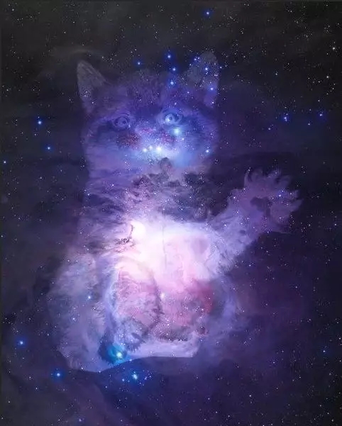 【PS入门教程】好莱坞大片级场景制作—宇宙猫