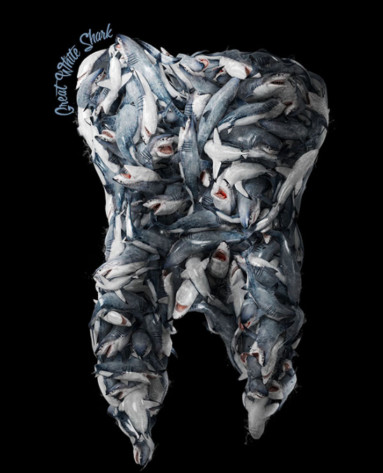 优秀海报设计的使用技巧