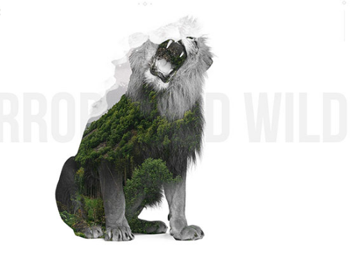 优秀海报设计的使用技巧