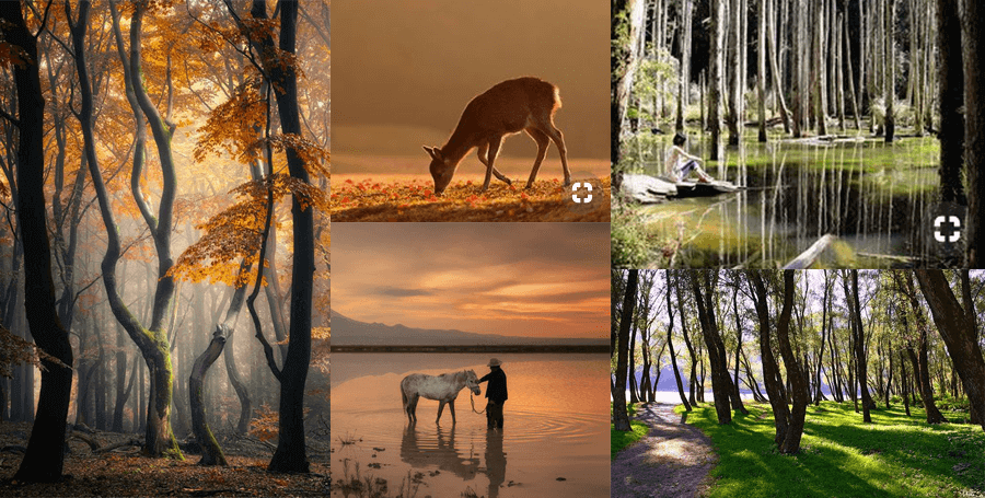 插画绘制教程之《梦幻小鹿》