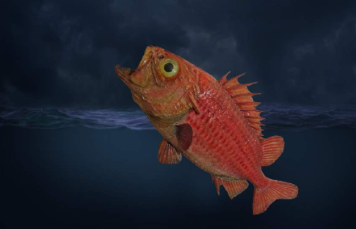 ps教程:如何制作超现实主义海报