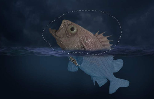 ps教程:如何制作超现实主义海报