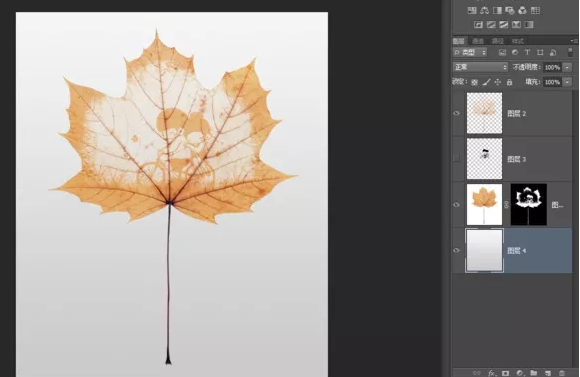 Ps图文教程：教你应用ps制作出叶雕效果