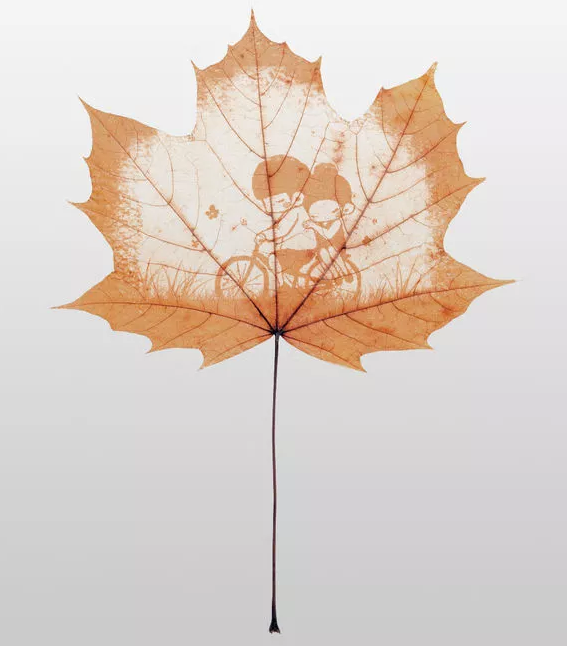 Ps图文教程：教你应用ps制作出叶雕效果