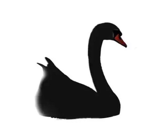PS海报制作教程:打造墨染黑天鹅