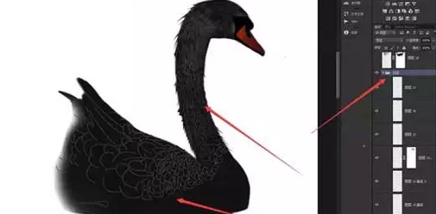PS海报制作教程:打造墨染黑天鹅