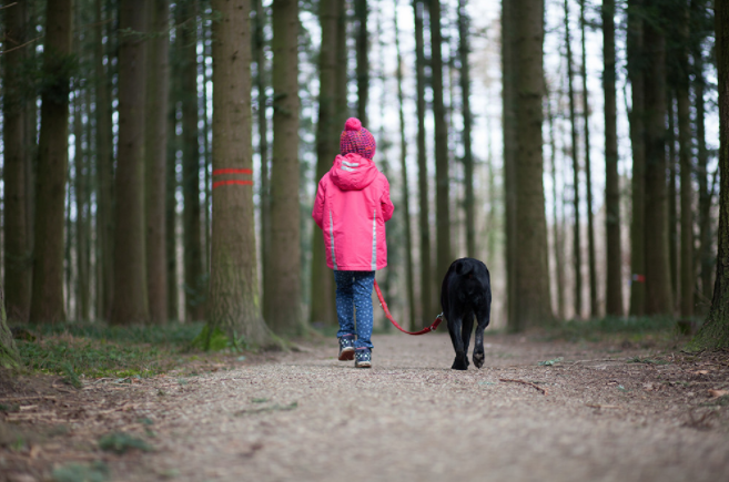 PS调色教程:如何调出黄昏逆光暖色调