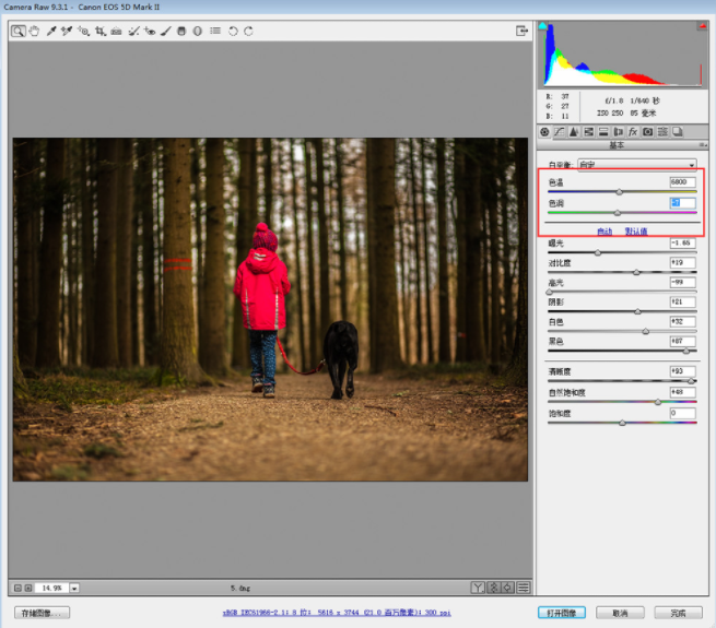 PS调色教程:如何调出黄昏逆光暖色调