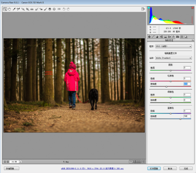 PS调色教程:如何调出黄昏逆光暖色调