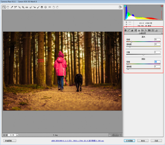 PS调色教程:如何调出黄昏逆光暖色调