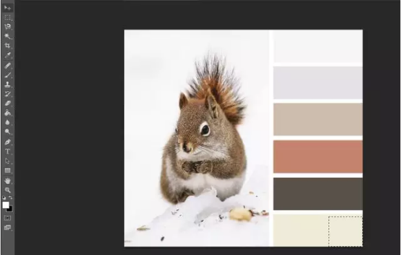 PS快速去水印的几种方法