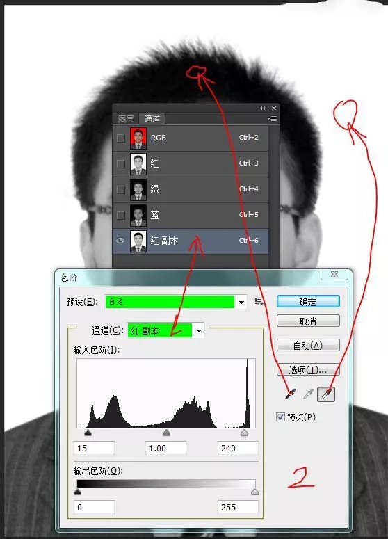 PS技巧教程：如何制作证件照并更换背景色？