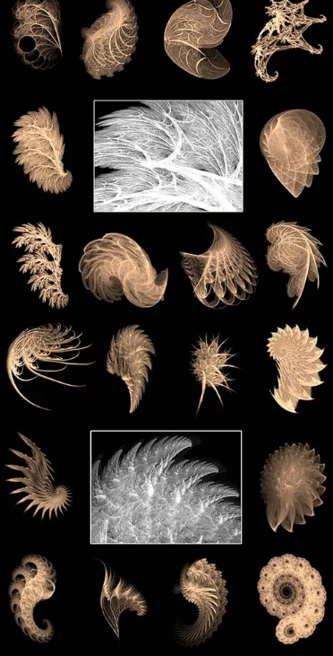 如何提高PS技能？10个小技巧你不得不知道