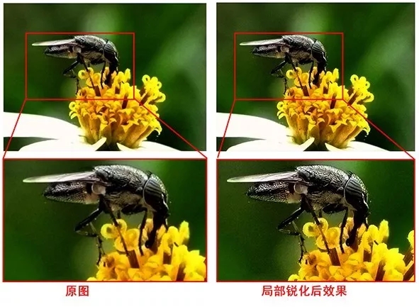 PS修复教程:八个抢救废片的简单技巧