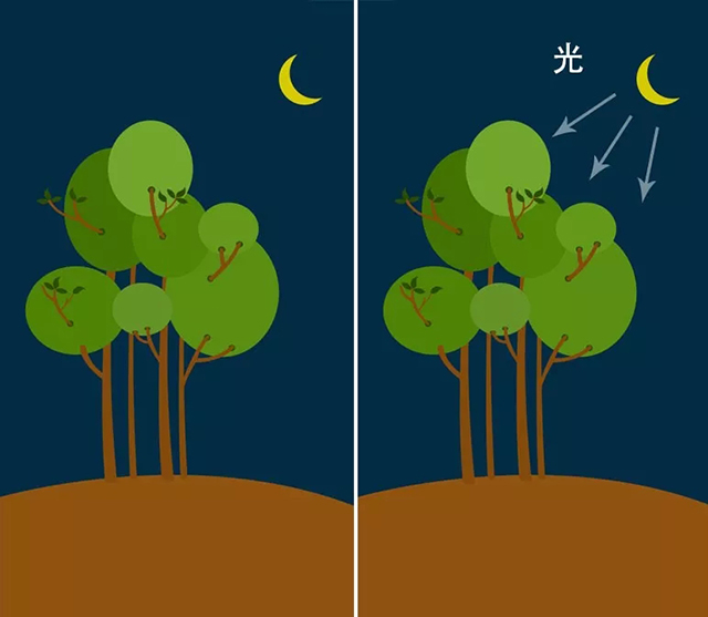 插画技巧教程:快速实现噪点插画效果