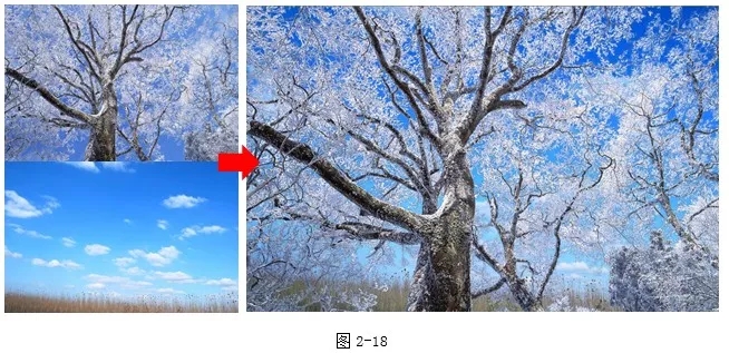 PS抠图教程：案例演示色彩范围抠图方法