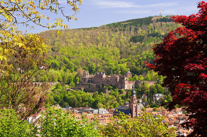 后期调色：主色调、聚焦色和辅助色在摄影后期中的应用