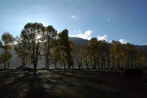 PS调色教程：如何调整阳光的通透度