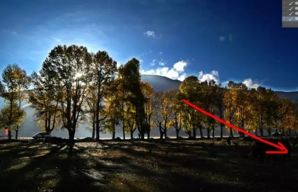 PS调色教程：如何调整阳光的通透度