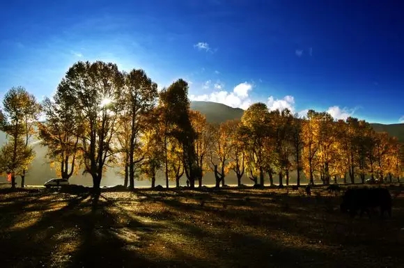 PS调色教程：如何调整阳光的通透度