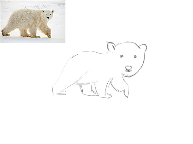 萌系动物绘制插画教程