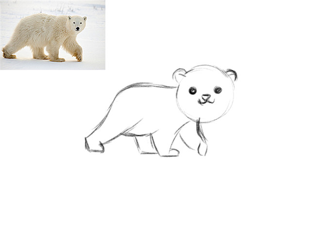 萌系动物绘制插画教程