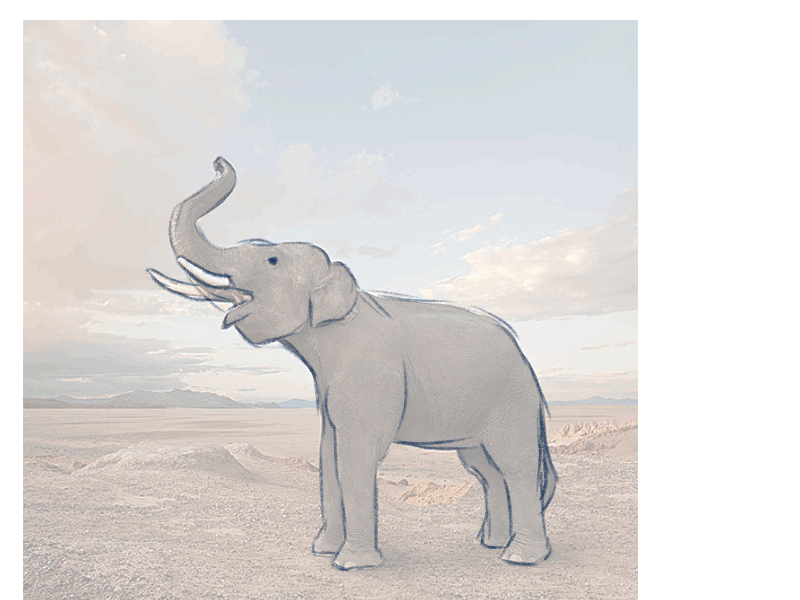 萌系动物绘制插画教程