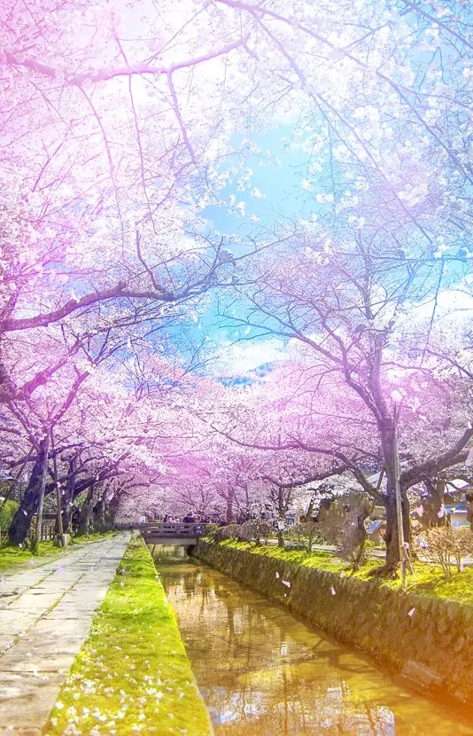 PS制作青春明亮感的日式动漫效果教程