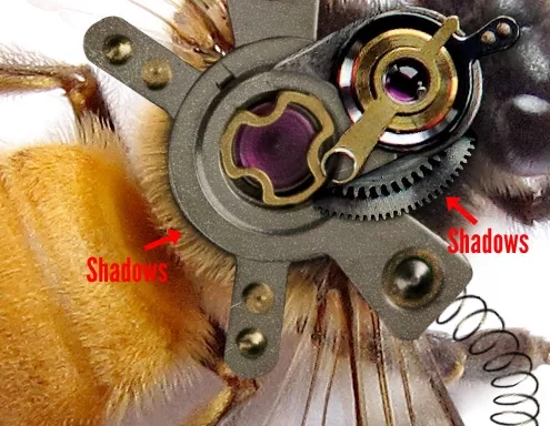 PS制作炫酷的机械蜜蜂图文教程