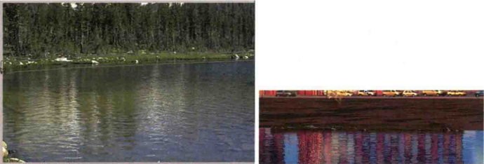 如何渲染出日景效果?——后期处理添加配景教程