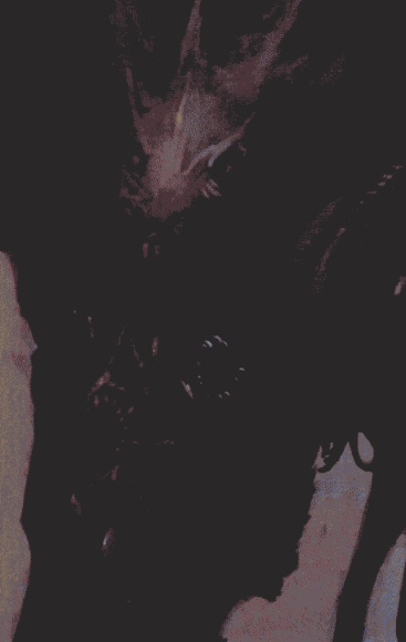 游戏原画昆虫造型设计图文教程（四）造型的表现②-伊丞小站（YLIMHS.COM）