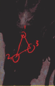 游戏原画昆虫造型设计图文教程（四）造型的表现②