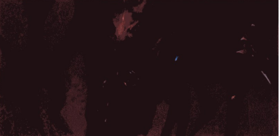 游戏原画昆虫造型设计图文教程(五)造型的表现③