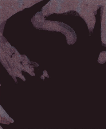 游戏原画昆虫造型设计图文教程(五)造型的表现③