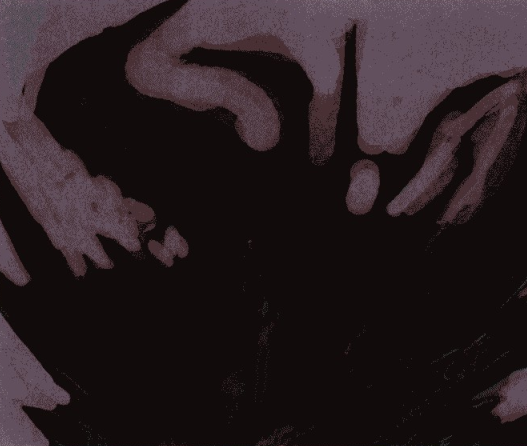 游戏原画昆虫造型设计图文教程(五)造型的表现③