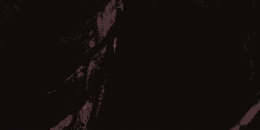 游戏原画昆虫造型设计图文教程(五)造型的表现③