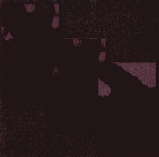 游戏原画昆虫造型设计图文教程(五)造型的表现③